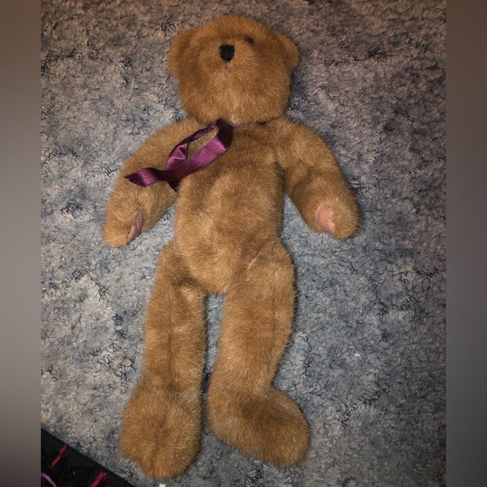Stuffed animal Boyd’s bear